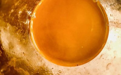 Agri Resources Madagascar, developing sustainable essential oils production