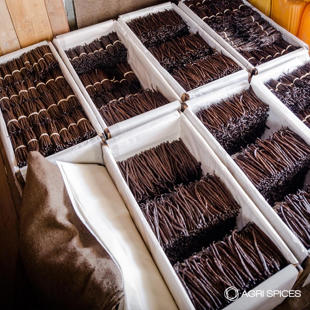 Agri Sices Vanilla and Spices from Madagascar (10)