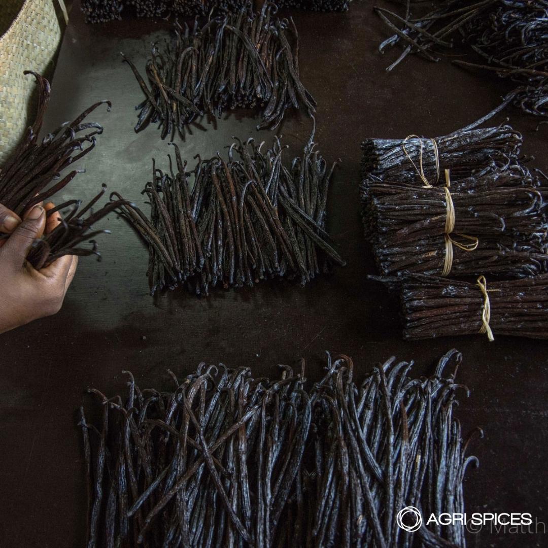 Agri Sices Vanilla and Spices from Madagascar (32)