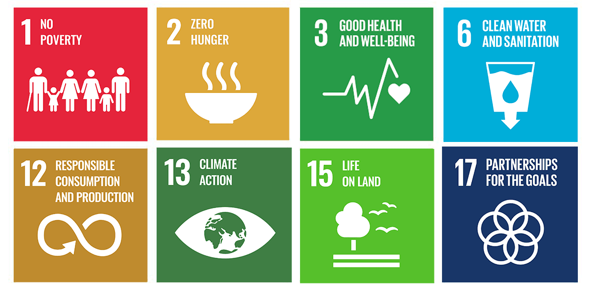 sdg-inside-madagascar_en
